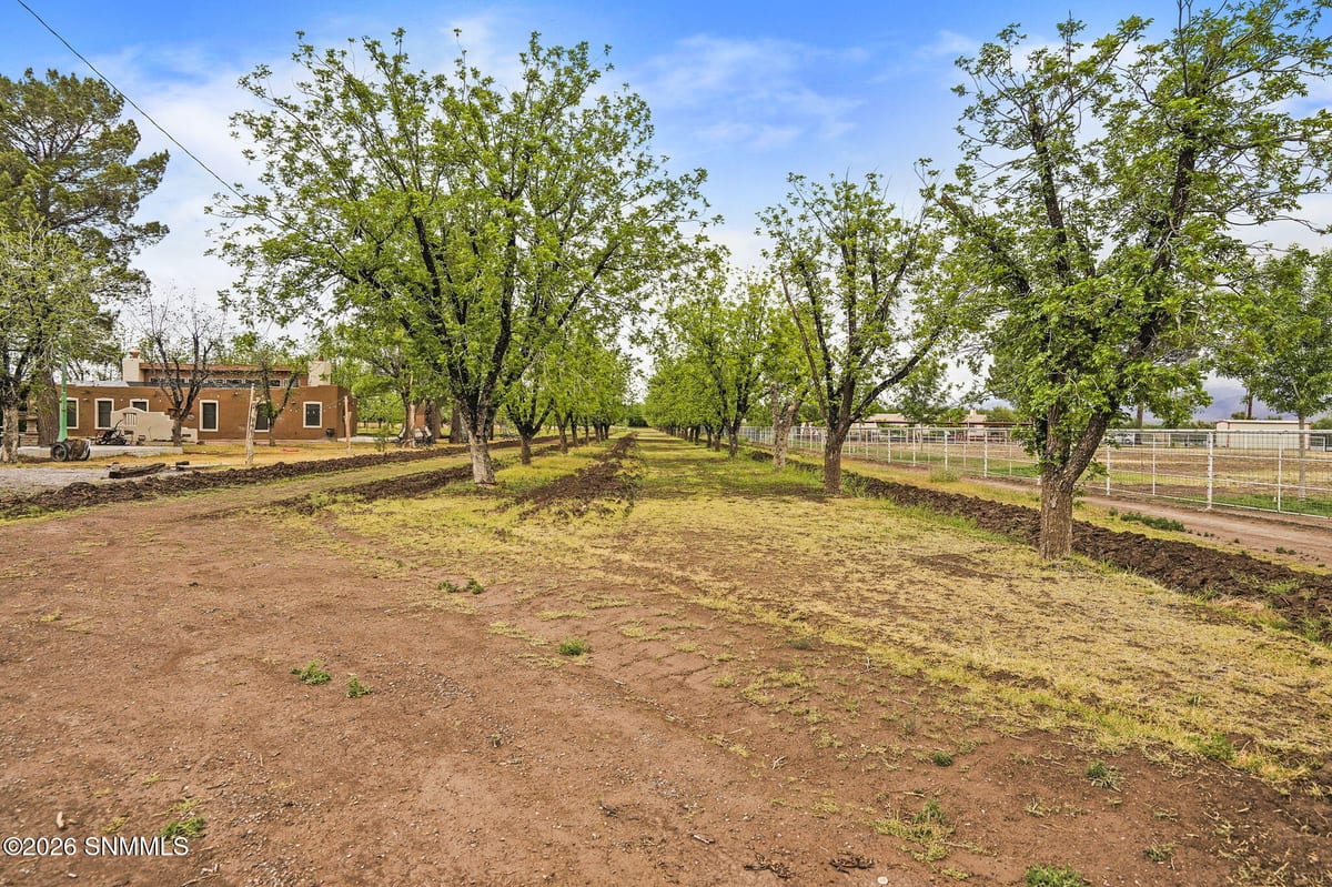 1015 Lister Drive, La Mesa, NM 88044, foto 6