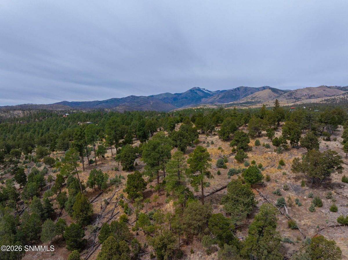 TBD Mesita Drive, Alto, NM 88312, foto 13