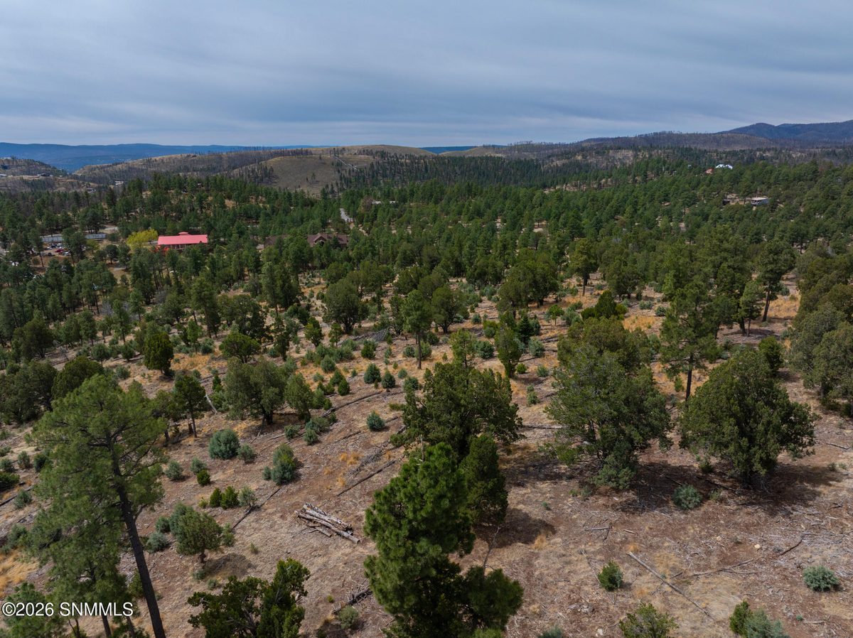 TBD Mesita Drive, Alto, NM 88312, foto 15