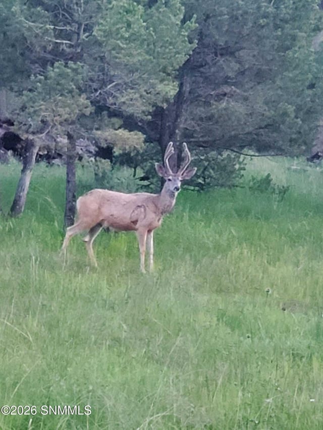 TBD Mesita Drive, Alto, NM 88312, foto 2