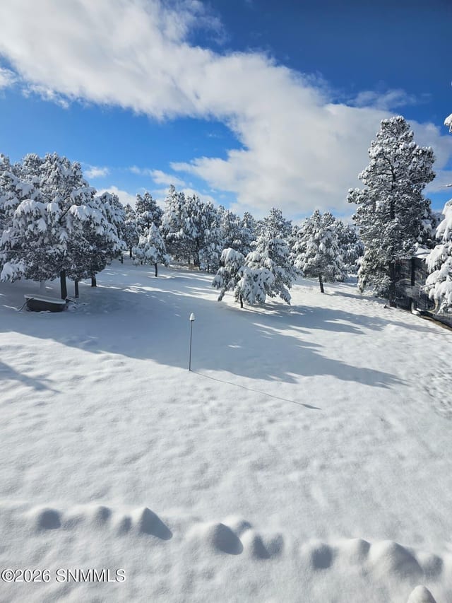 TBD Mesita Drive, Alto, NM 88312, foto 3