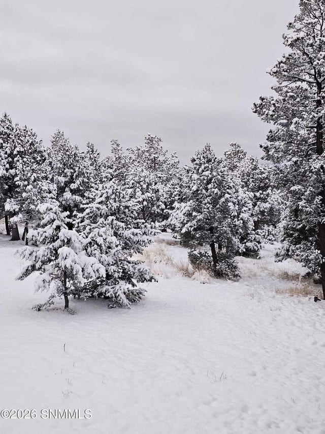 TBD Mesita Drive, Alto, NM 88312, foto 5