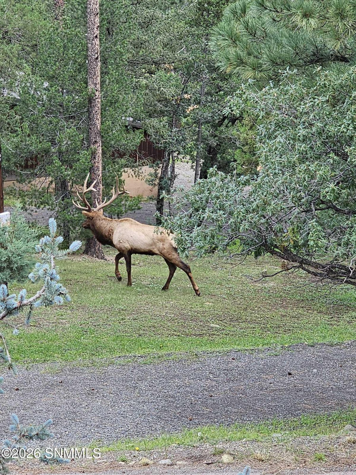TBD Mesita Drive, Alto, NM 88312, foto 9