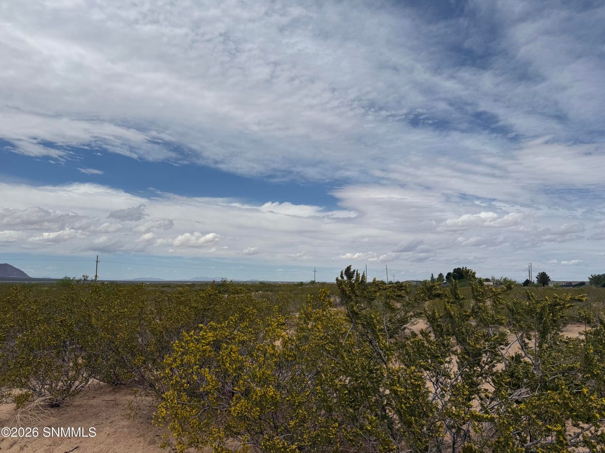 TBD Holman, Las Cruces, NM 88005, foto 2