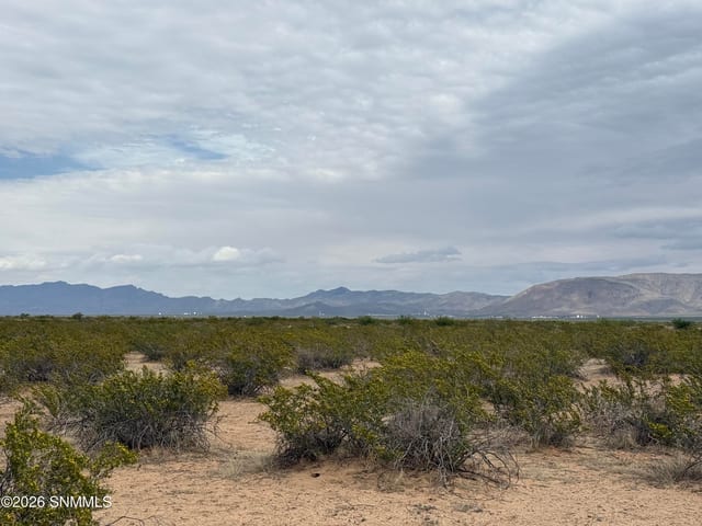 TBD Holman, Las Cruces, NM 88005, foto 3