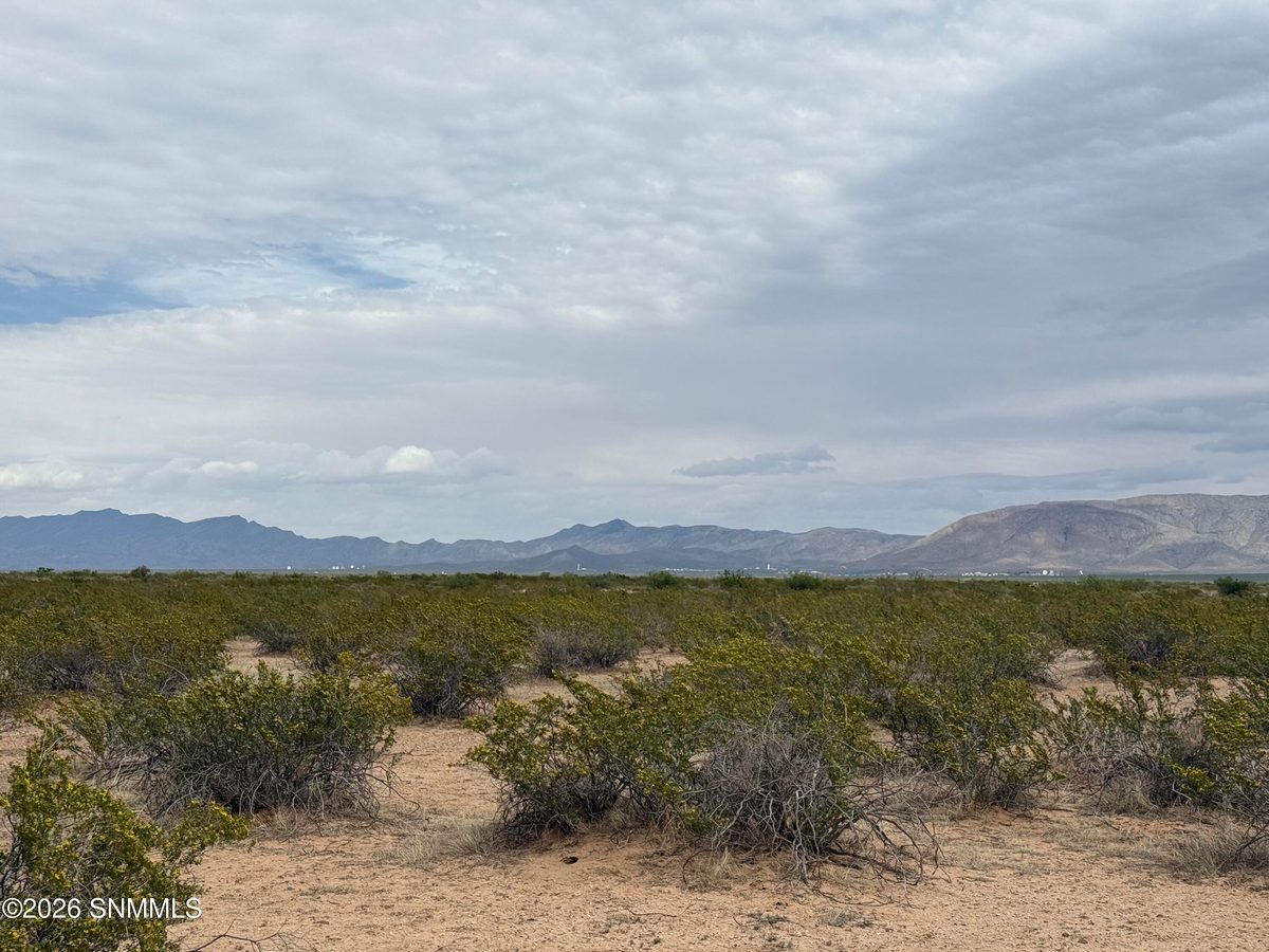 TBD Holman, Las Cruces, NM 88005, foto 3
