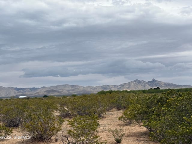 TBD Holman, Las Cruces, NM 88005, foto 4