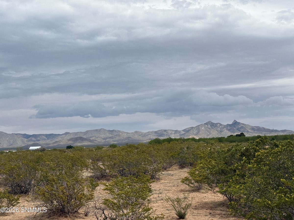 TBD Holman, Las Cruces, NM 88005, foto 4