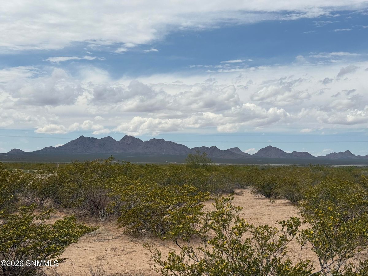 TBD Holman, Las Cruces, NM 88005, foto 5