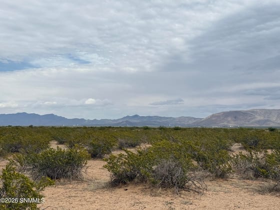 TBD Holman, Las Cruces, NM 88005 photo 3