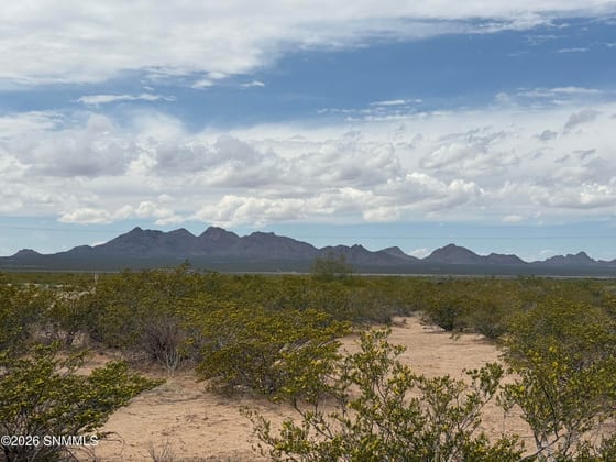 TBD Holman, Las Cruces, NM 88005 photo 5