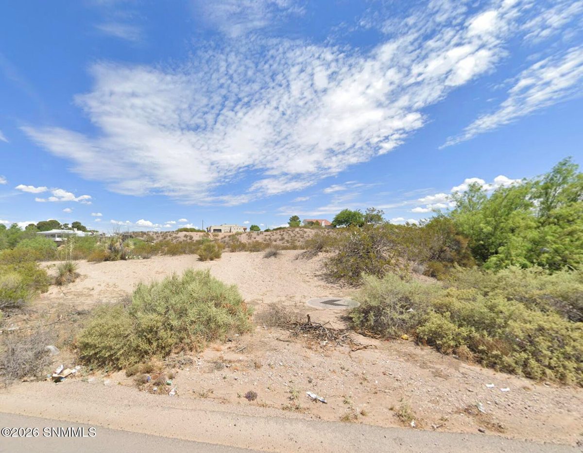 4131 Johnson Lane, Las Cruces, NM 88011 photo 1