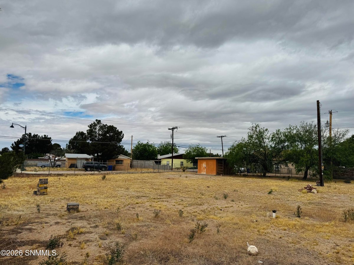 969 Augustine Avenue, Las Cruces, NM 88001 photo 6
