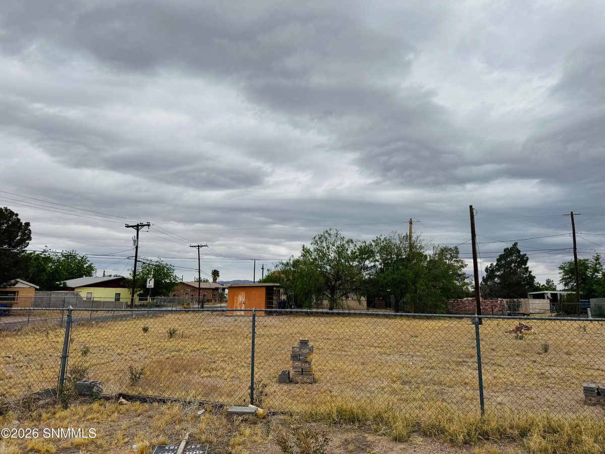 969 Augustine Avenue, Las Cruces, NM 88001 photo 8