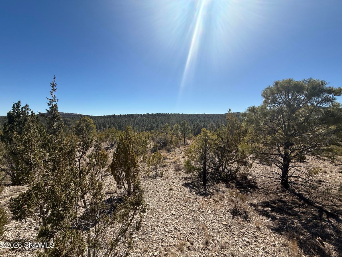 TBD Eldrado Drive, Timberon, NM 88350 photo 11