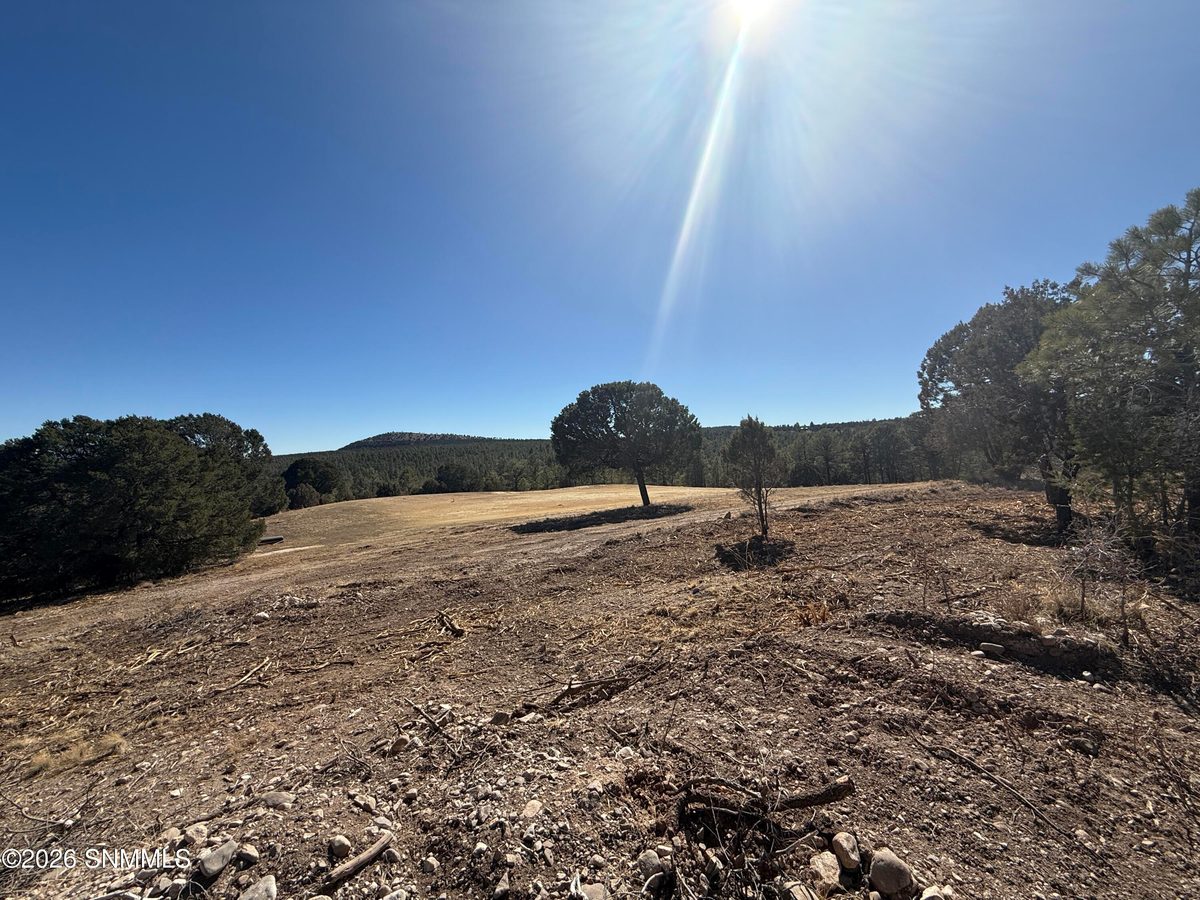TBD Eldrado Drive, Timberon, NM 88350 photo 12