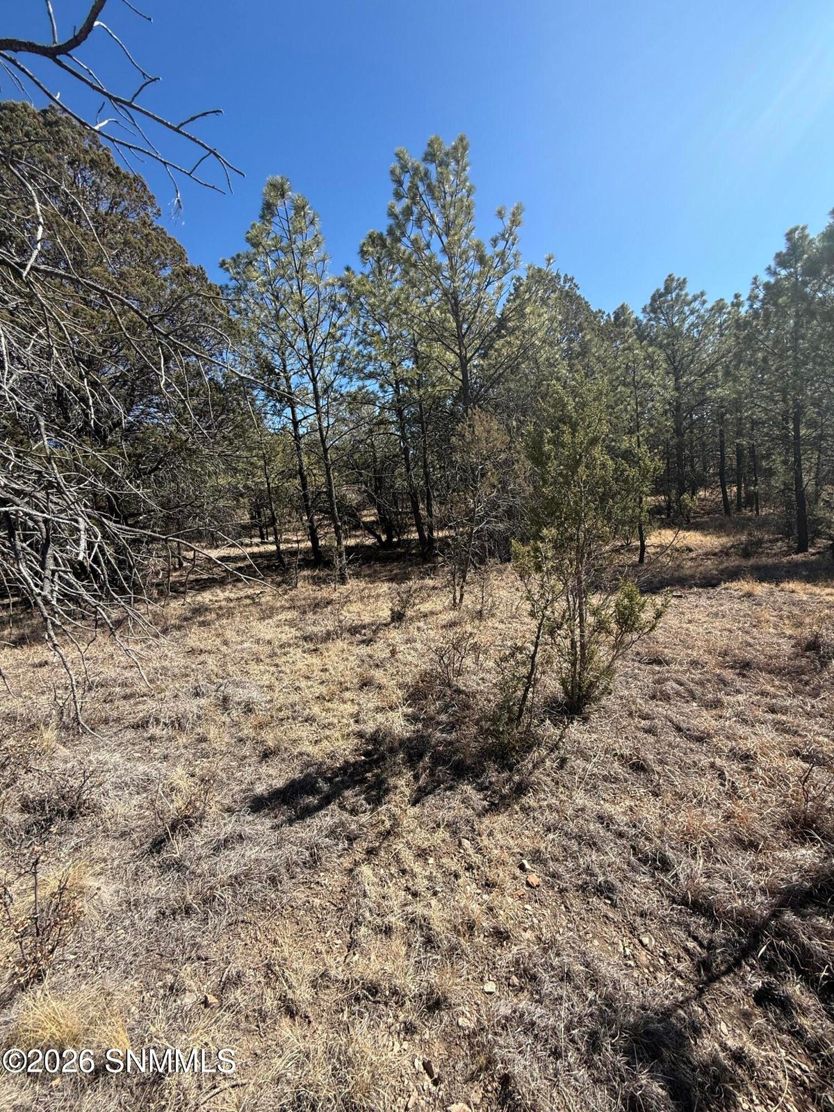 TBD Eldrado Drive, Timberon, NM 88350 photo 3