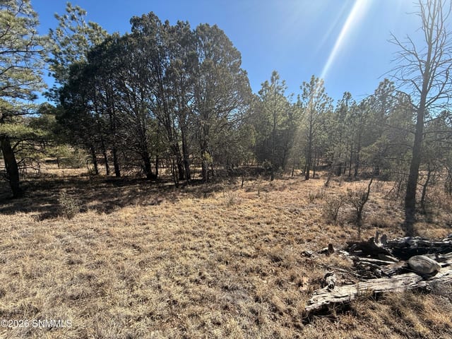 TBD Eldrado Drive, Timberon, NM 88350 photo 4