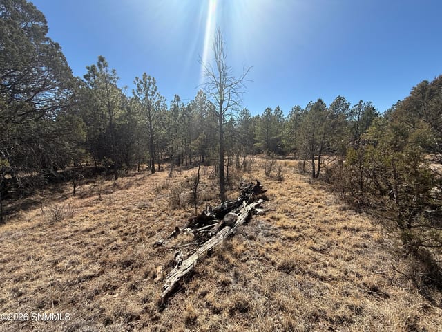 TBD Eldrado Drive, Timberon, NM 88350 photo 5