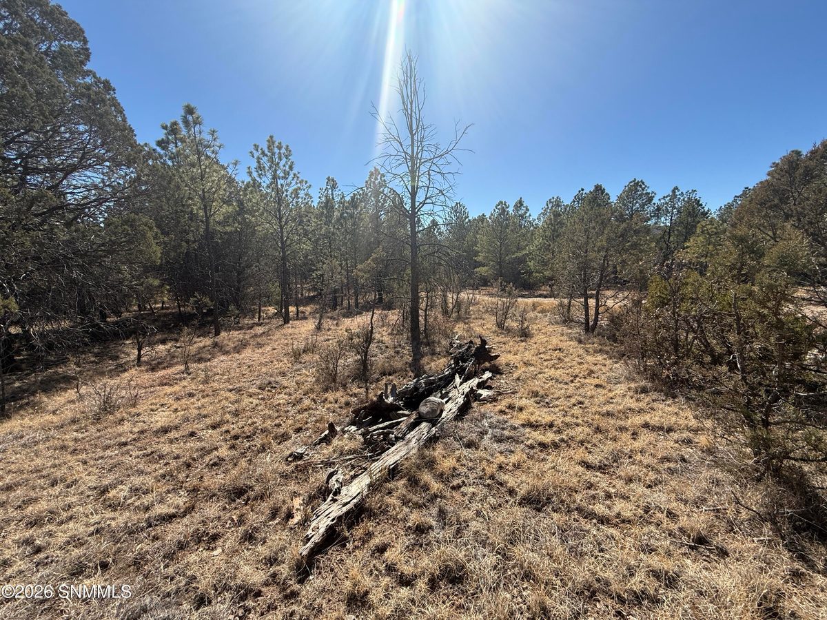 TBD Eldrado Drive, Timberon, NM 88350 photo 5