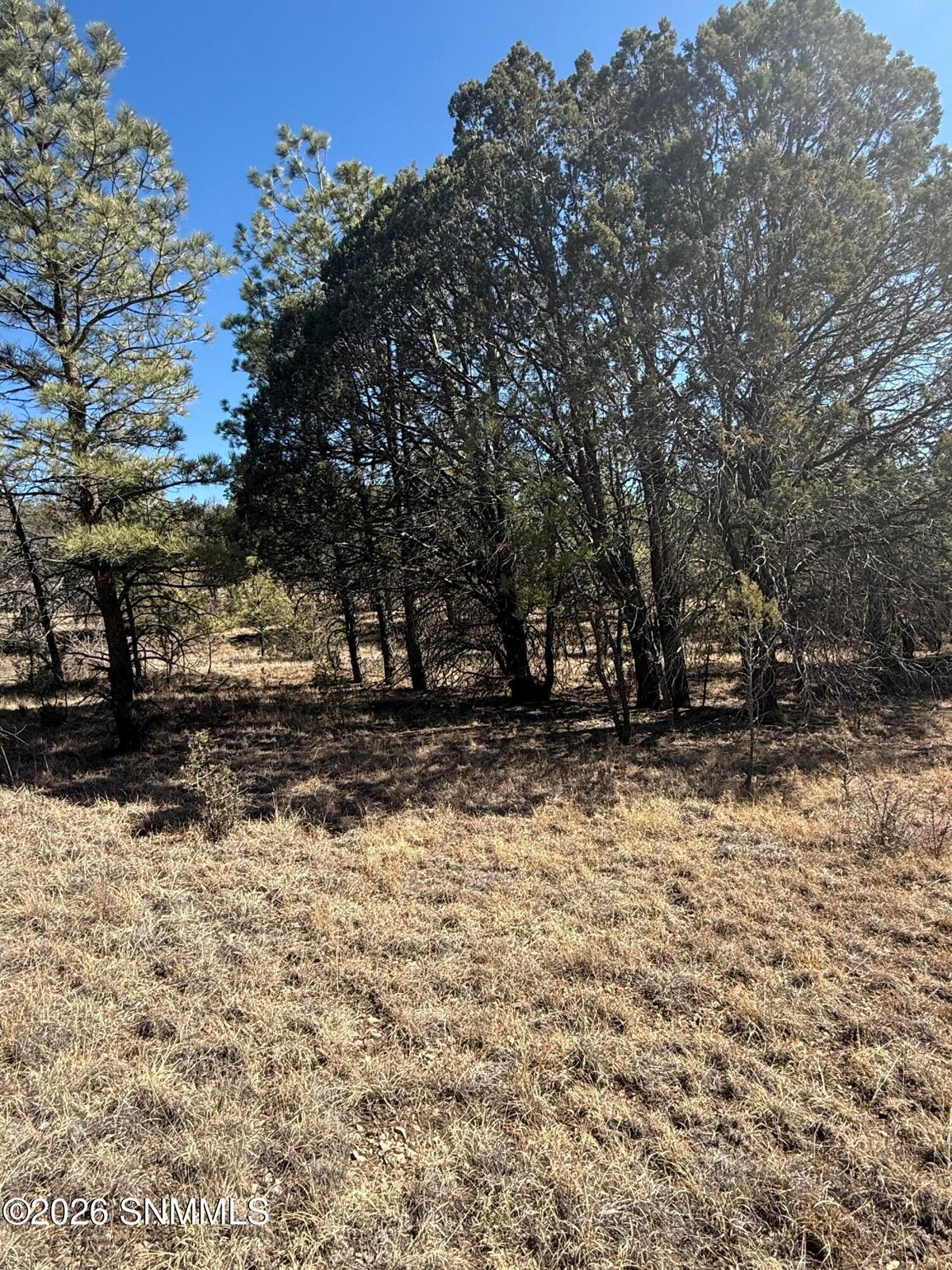 TBD Eldrado Drive, Timberon, NM 88350 photo 6
