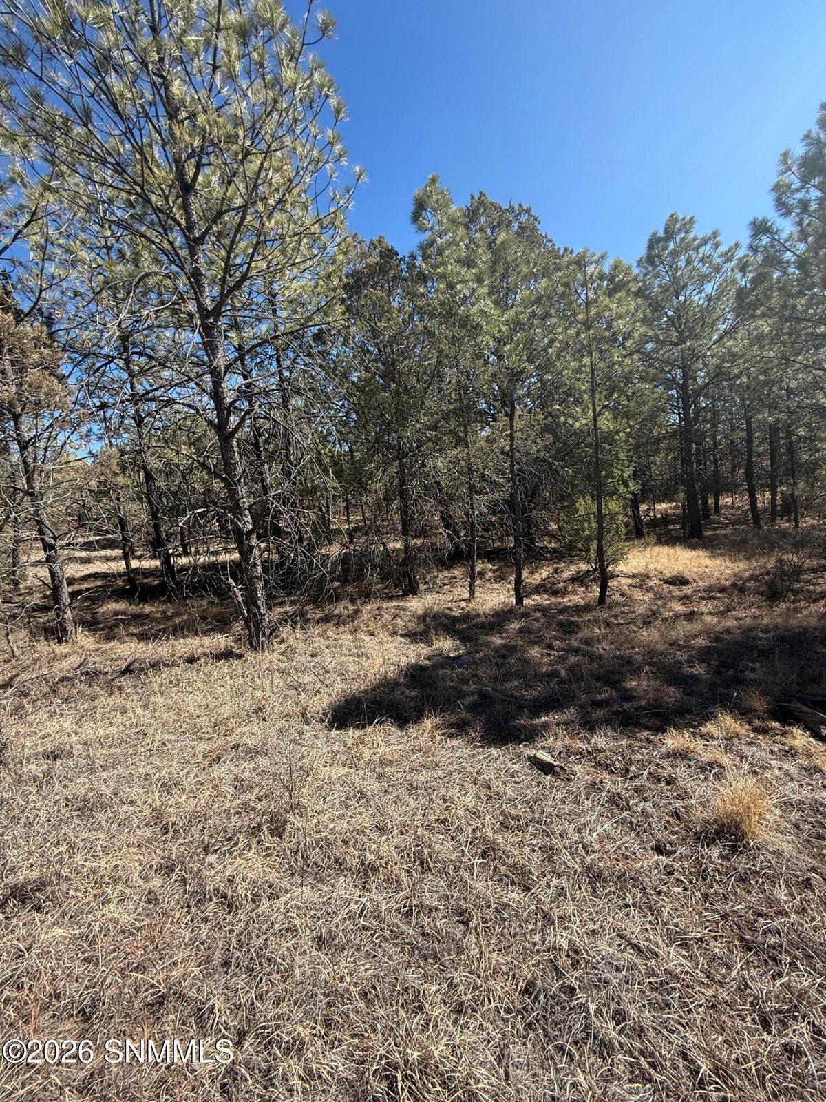 TBD Eldrado Drive, Timberon, NM 88350 photo 7