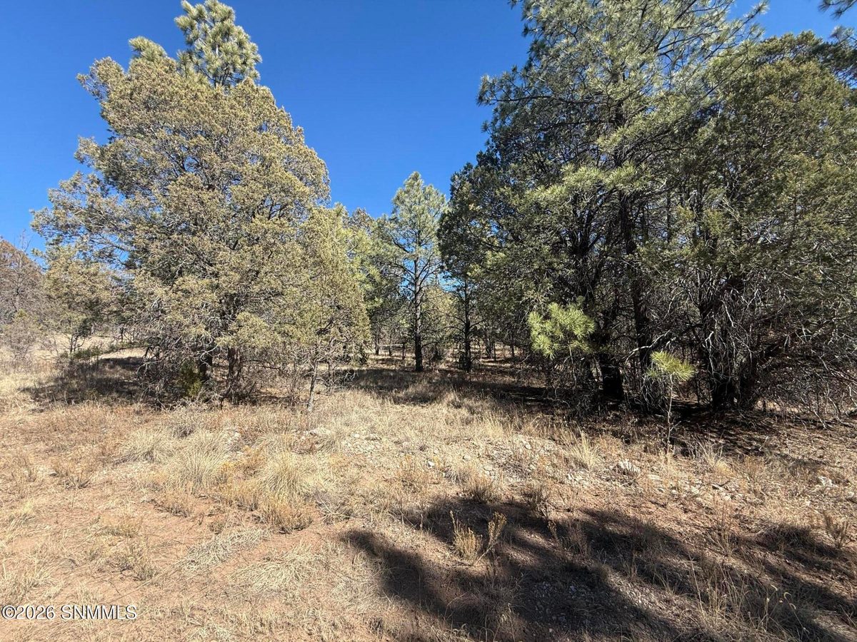 TBD Eldrado Drive, Timberon, NM 88350 photo 9