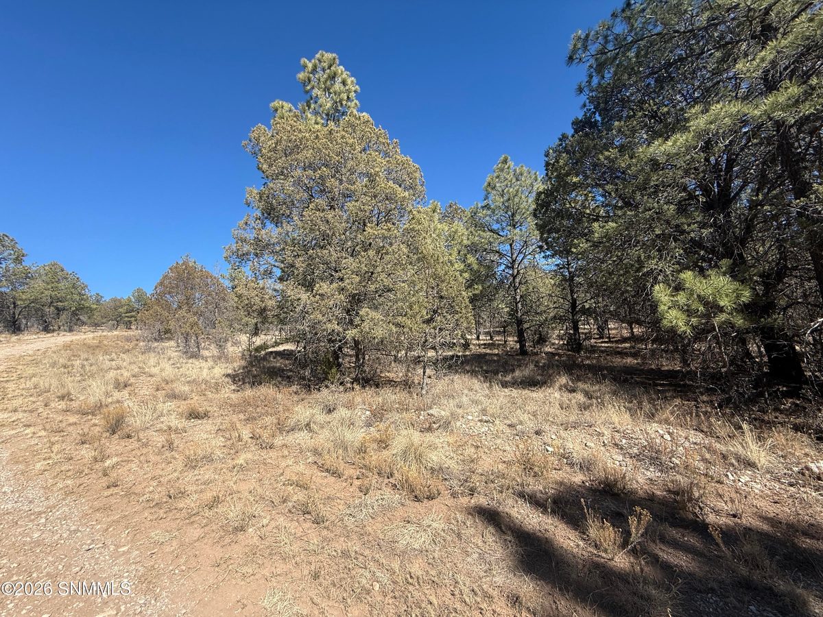 TBD Eldrado Drive, Timberon, NM 88350 photo 10