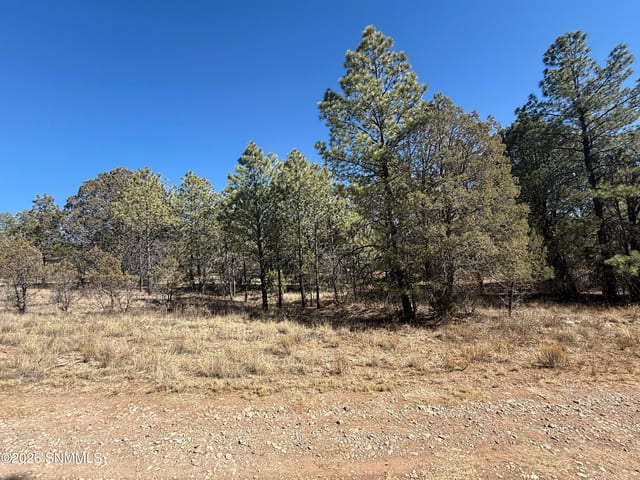 Terreno baldío en venta por $7,499: TBD Eldrado Drive, Timberon, NM