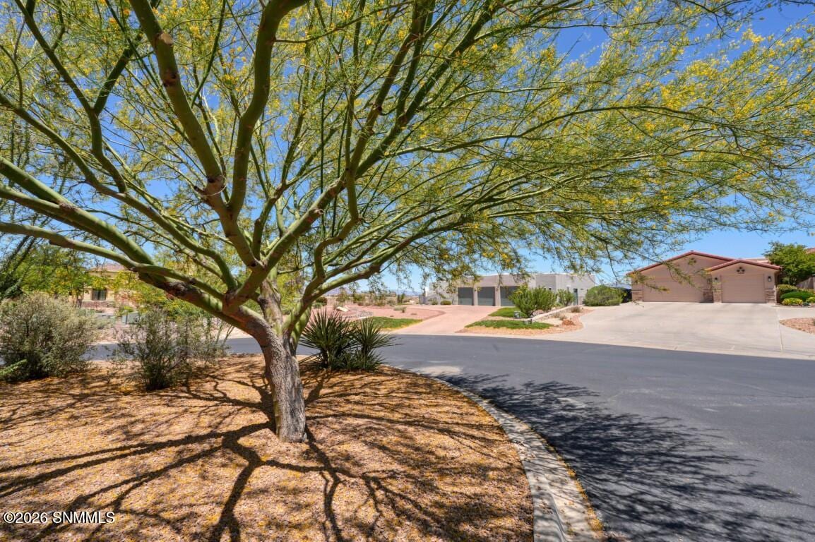 1232 Sonnet Court, Las Cruces, NM 88007 photo 6
