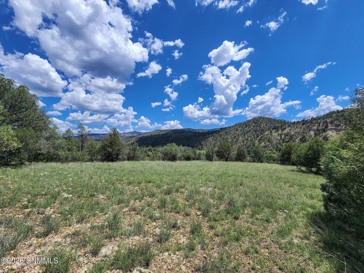 TBD Lot4A Highway 35, Mimbres, NM 88049, foto 11