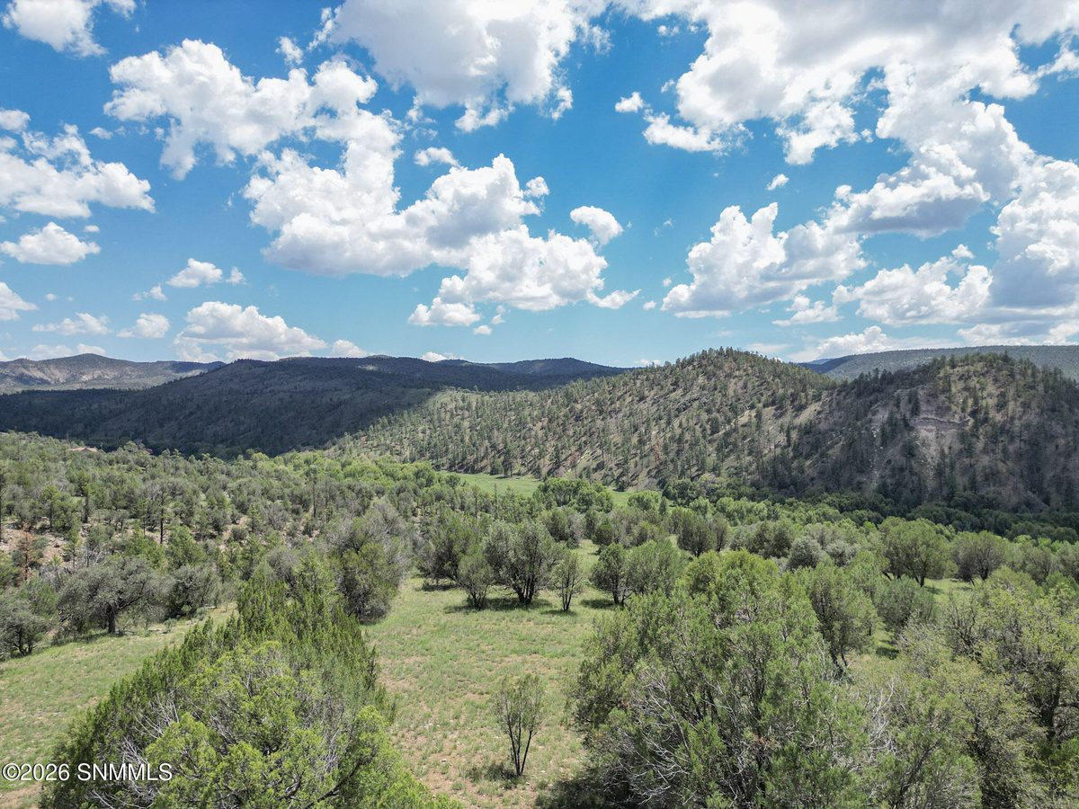 TBD Lot4A Highway 35, Mimbres, NM 88049, foto 12