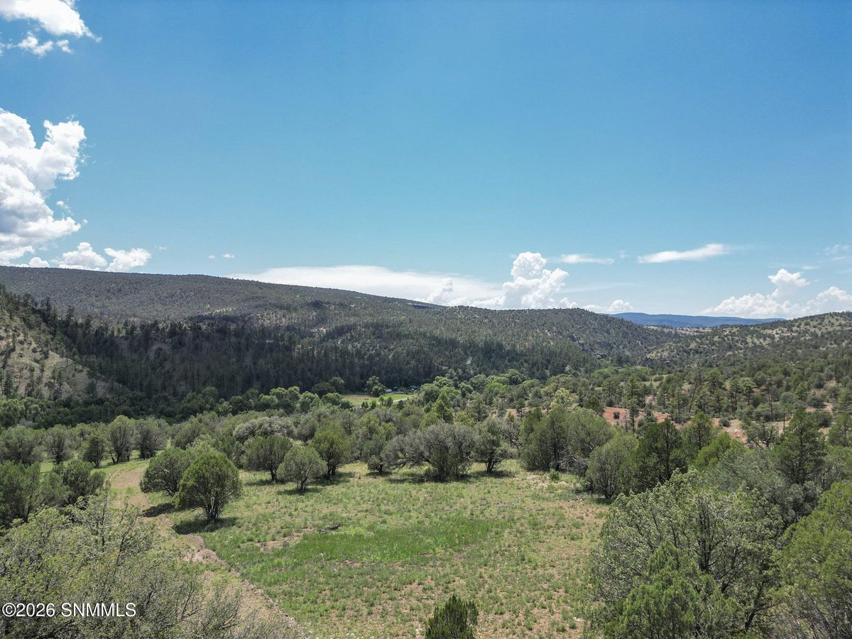 TBD Lot4A Highway 35, Mimbres, NM 88049, foto 13