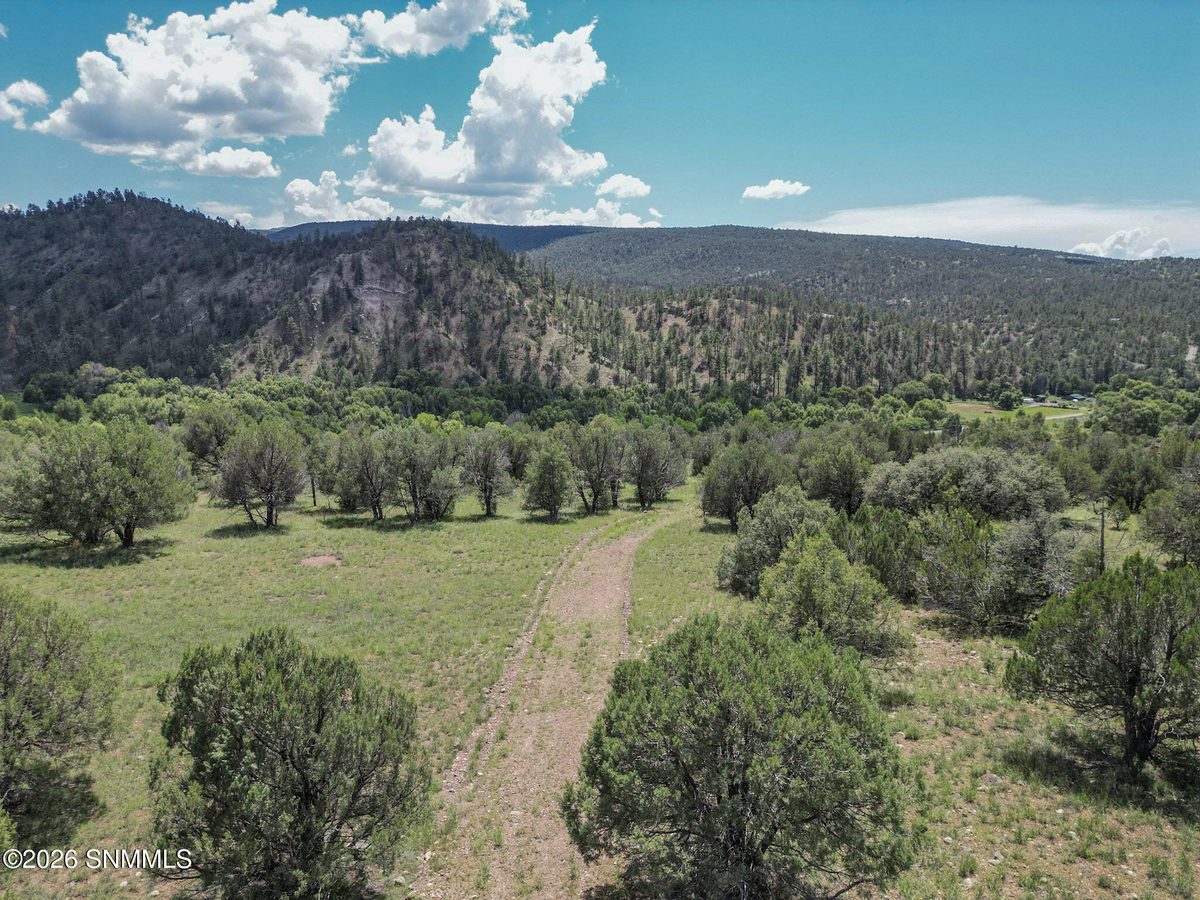 TBD Lot4A Highway 35, Mimbres, NM 88049, foto 14