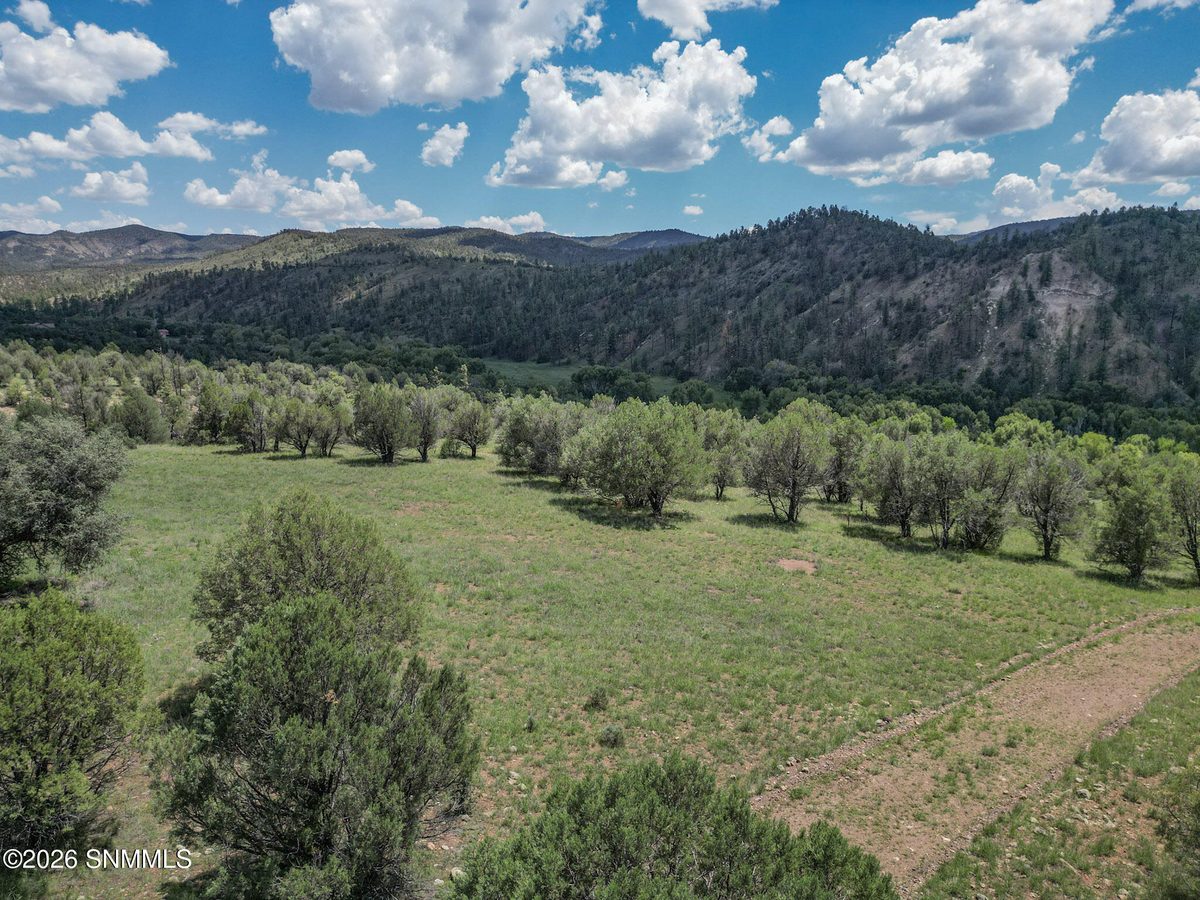 TBD Lot4A Highway 35, Mimbres, NM 88049, foto 15