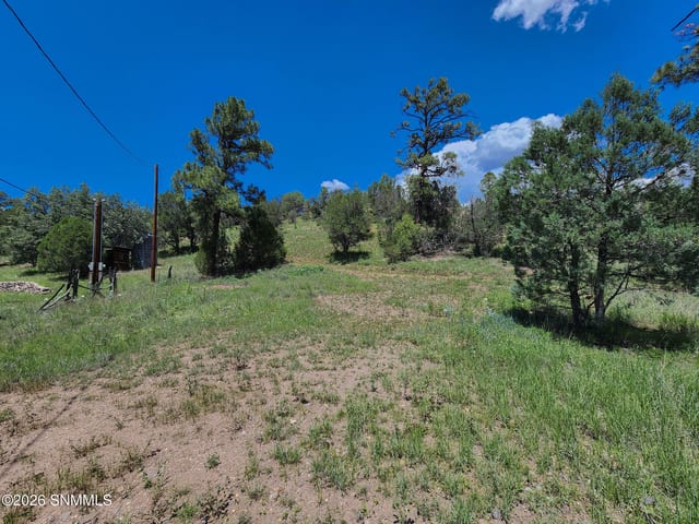 TBD Lot4A Highway 35, Mimbres, NM 88049, foto 2