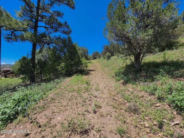 TBD Lot4A Highway 35, Mimbres, NM 88049, foto 3