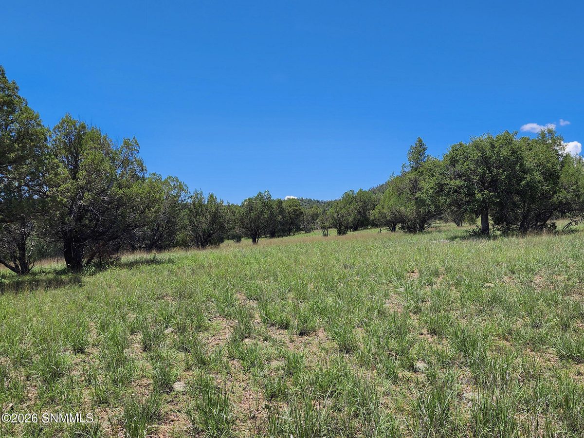 TBD Lot4A Highway 35, Mimbres, NM 88049, foto 4