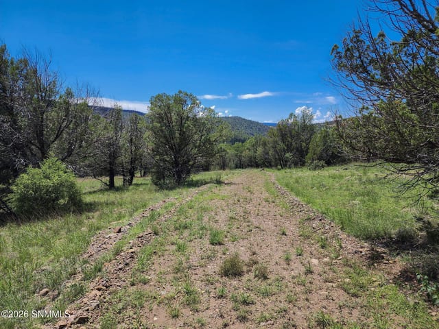 TBD Lot4A Highway 35, Mimbres, NM 88049, foto 5