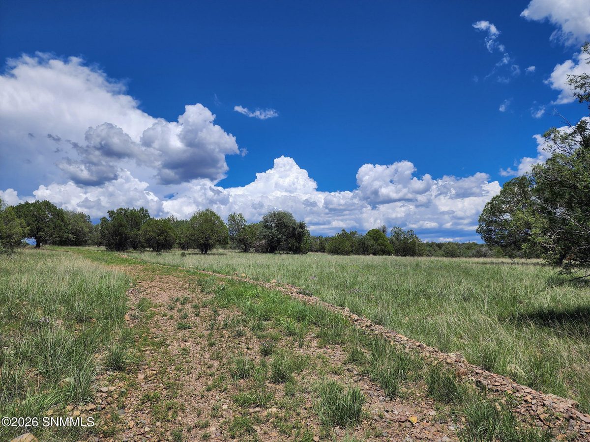 TBD Lot4A Highway 35, Mimbres, NM 88049, foto 6