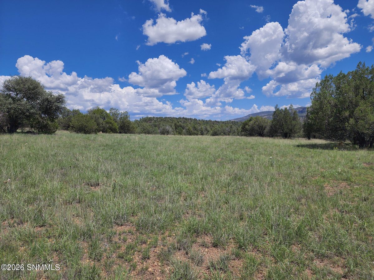 TBD Lot4A Highway 35, Mimbres, NM 88049, foto 7