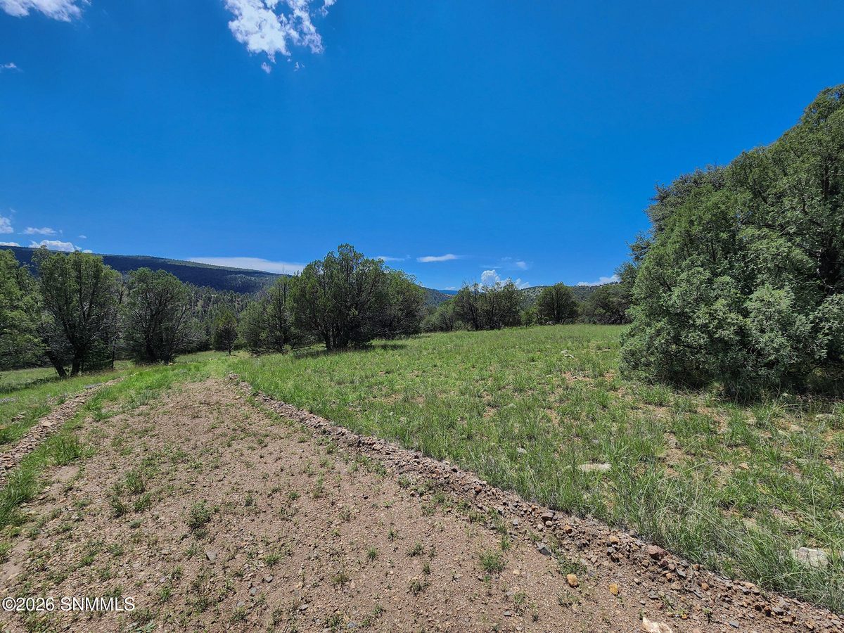 TBD Lot4A Highway 35, Mimbres, NM 88049, foto 8