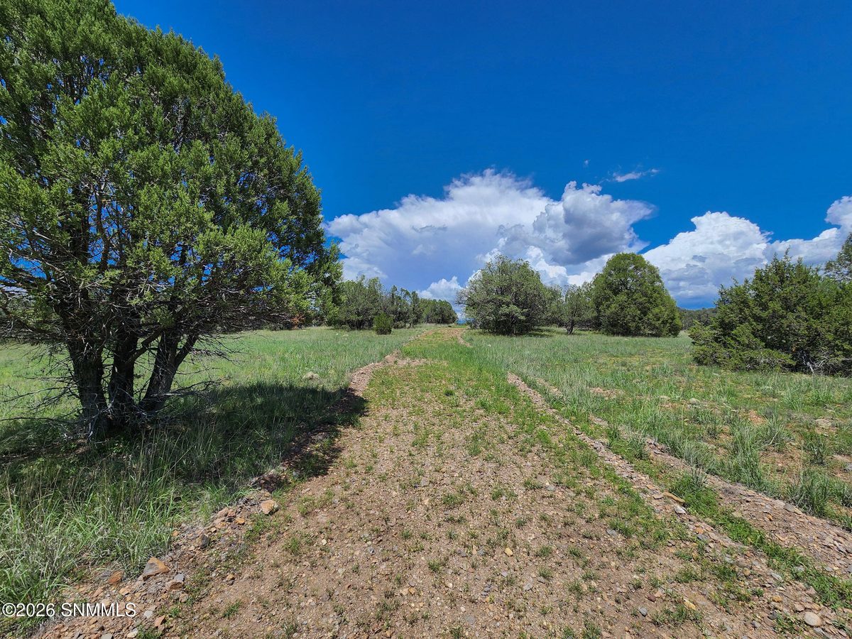 TBD Lot4A Highway 35, Mimbres, NM 88049, foto 9