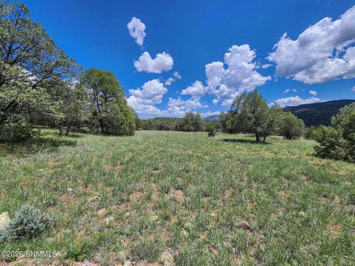 TBD Lot4A Highway 35, Mimbres, NM 88049, foto 10