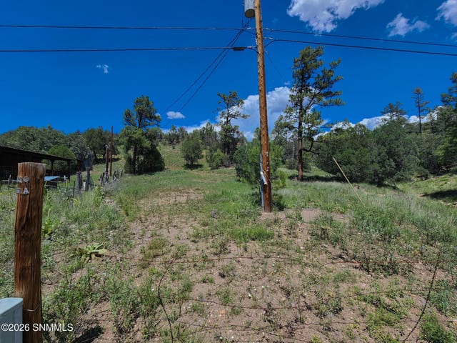 TBD Lot4A Highway 35, Mimbres, NM vacant land/acreage for sale at $226,000