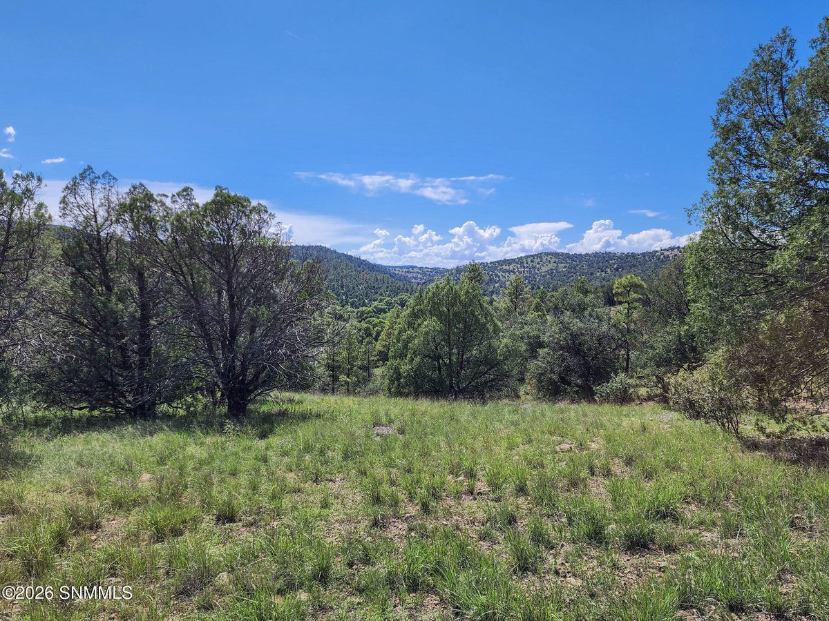 TBD Lot 5 Highway 35, Mimbres, NM 88049 photo 11