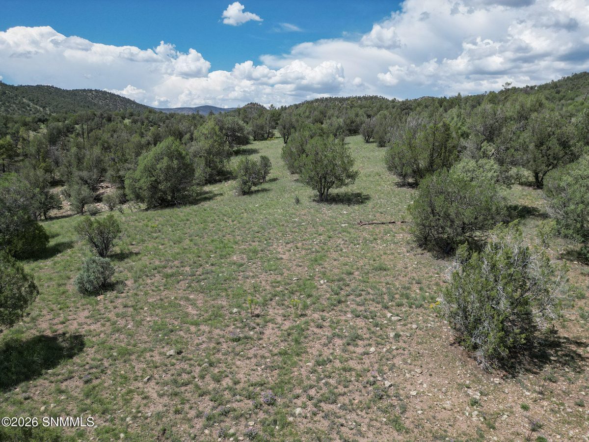 TBD Lot 5 Highway 35, Mimbres, NM 88049 photo 12