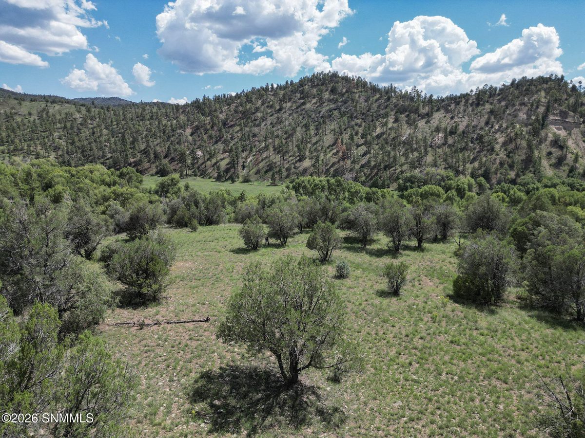TBD Lot 5 Highway 35, Mimbres, NM 88049 photo 13
