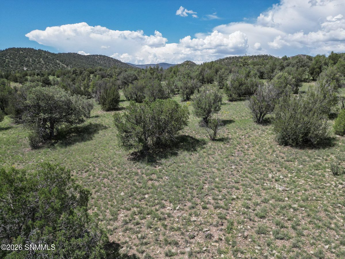 TBD Lot 5 Highway 35, Mimbres, NM 88049 photo 14