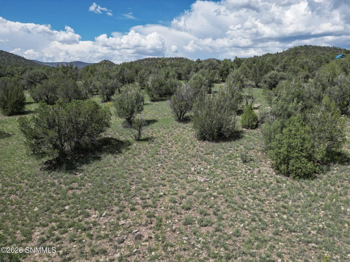 TBD Lot 5 Highway 35, Mimbres, NM 88049 photo 15